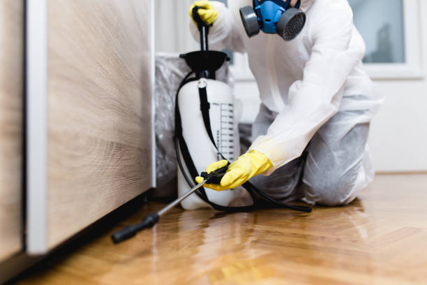 Pest Prevention Services in Hugo, MN