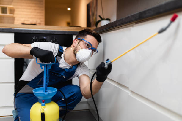 Best Best Pest Control Companies  in Hugo, MN