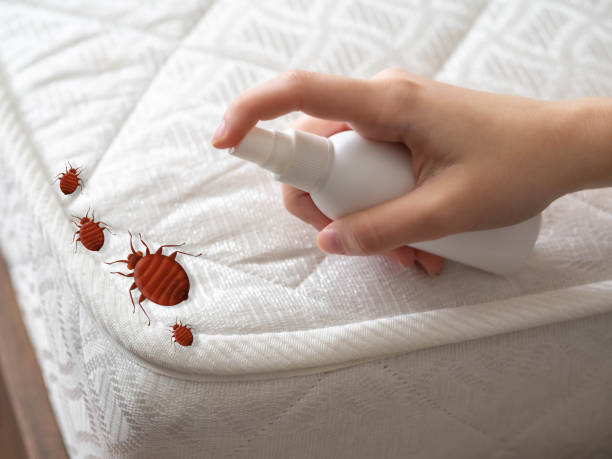 Pest Control Cost in Hugo, MN