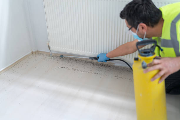 Best Residential Pest Control  in Hugo, MN