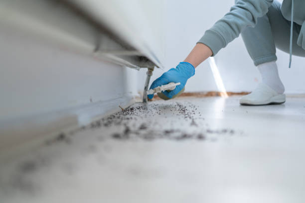 Best Pest Prevention Services  in Hugo, MN