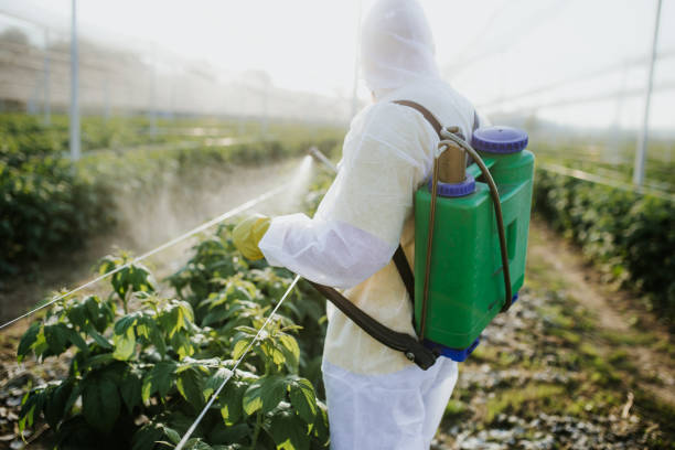 Best Cockroach Control Services  in Hugo, MN